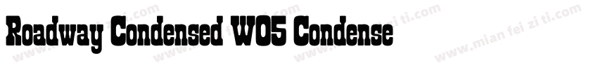 Roadway Condensed W05 Condensed字体转换